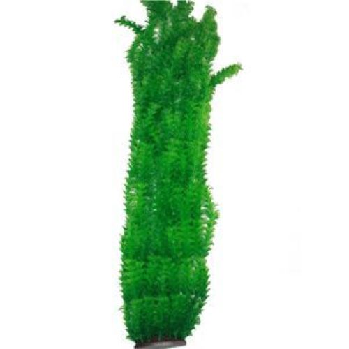 XL Plant Green 95cm Type 1