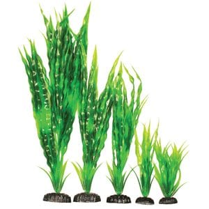 Aponogeton Crispus Artificial Plant