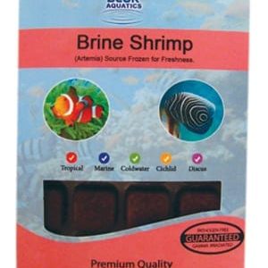 Frozen Brineshrimp pack 100g