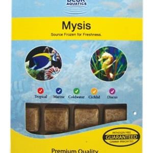 Frozen Mysis Blister Pack 100g