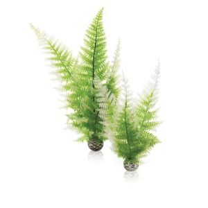 biOrb Easy Plant Winter Fern