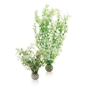 biOrb Easy Plant Winter Flowers