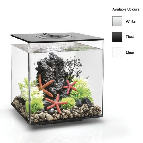 oase biorb aquarium mcr led cube