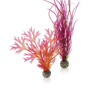 biOrb Easy Plants Pink Red