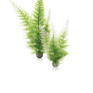 biOrb Easy Plant Winter Fern