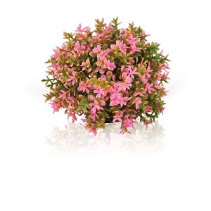 Topiary Ball Pink