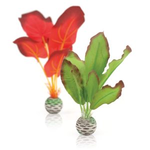 Silk Plant Short Red/Green