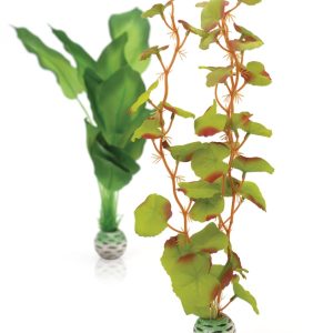 Silk Plant Medium Green