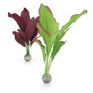 Silk Plant Medium Purple/Green
