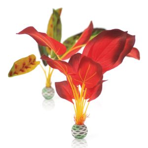 Silk Plant Large Red/Green