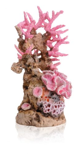 oase biorb aquarium sam baker decoration pink coral ornament