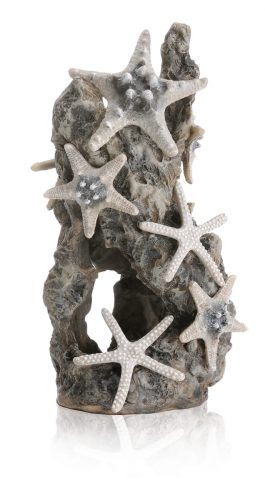 oase biorb aquarium sam baker decoration sea stars on rock