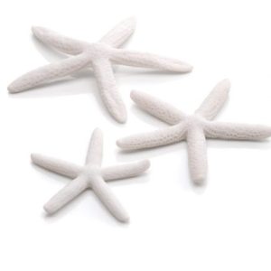 oase biorb aquarium decoration 3 starfish white