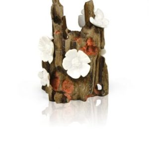 oase biorb aquarium decoration flowers on wood
