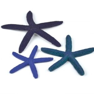 oase biorb aquarium decoration starfish blue