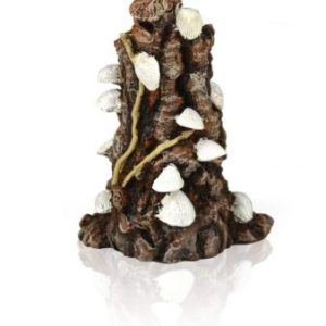 oase biorb aquarium decoration white shells on trunk