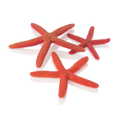oase biorb aquarium decoration red sea starfish