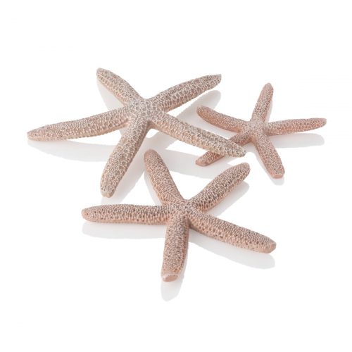 oase biorb aquarium decoration starfish natural