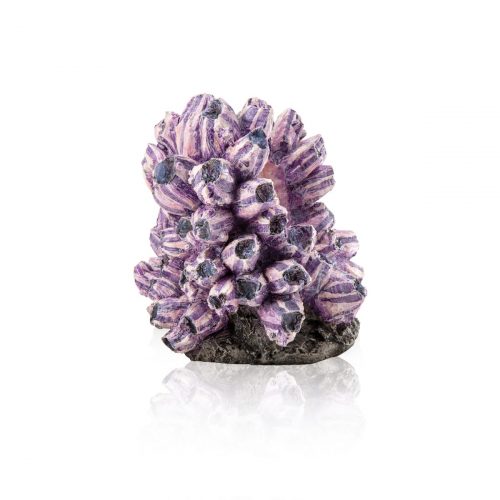 oase biorb aquarium decoration barnacle ornament