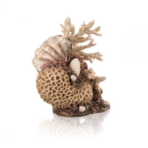 oase biorb aquarium decoration natural coral shell ornament