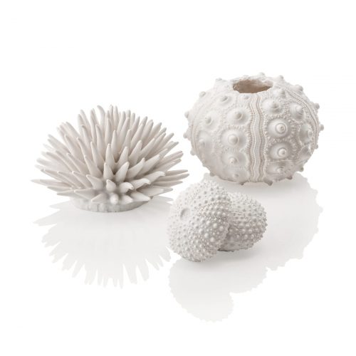 oase biorb aquarium white sea urchin decoration