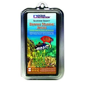 Ocean Nutrition Brown Marine Algae