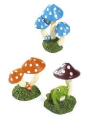 Assorted Mushroom 7cm