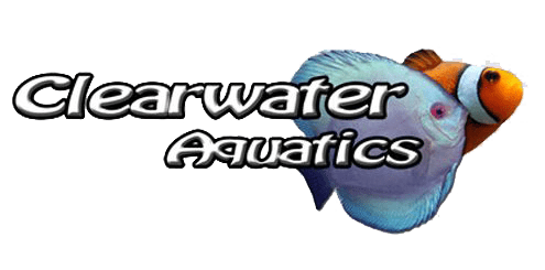 Clear Waters