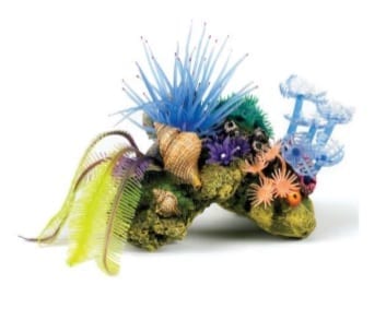 Coral Cave Garden 13.5cm