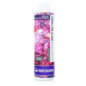 ReeFlowers Coralline Algae Accelerator