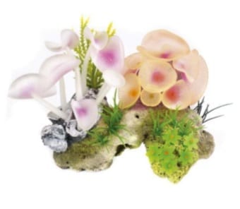Corals & Anemones Ornament 14cm