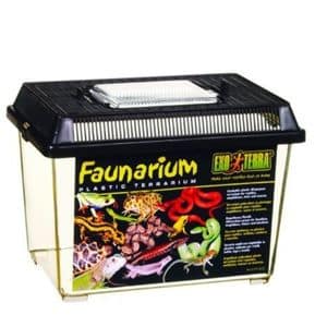 Exo Terra Standard Faunarium Small