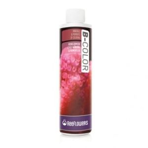 ReeFlowers B-Colour