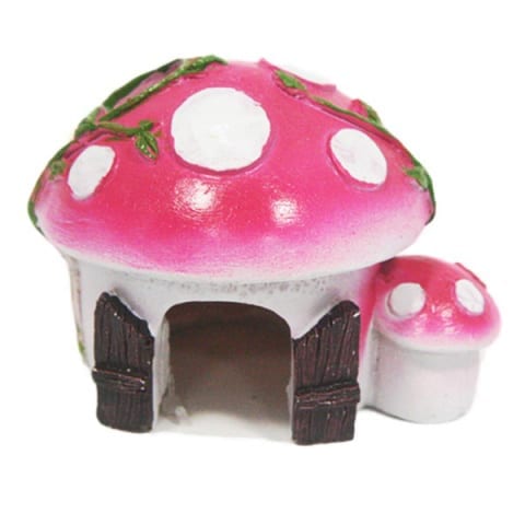 Pink Mushroom House