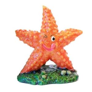 Orange Starfish 9cm