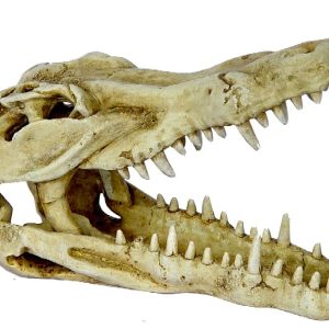 Mini Crocodile Skull Aquarium Ornament