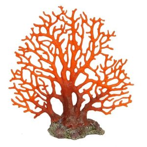 Large Red Sea Fan