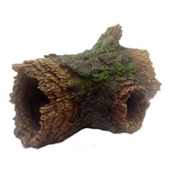 Medium Full Log