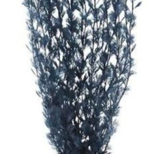 20cm Silicone Black Plant