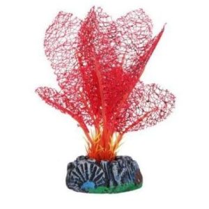 Red Lace Silk Plant