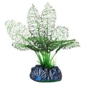 Green Lace Silk Plant