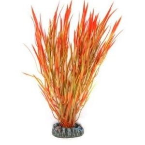 Red & Green Plastic Plant