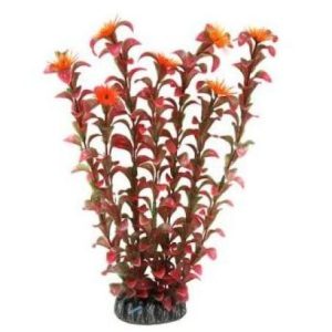 Red & Orange Plastic Plant