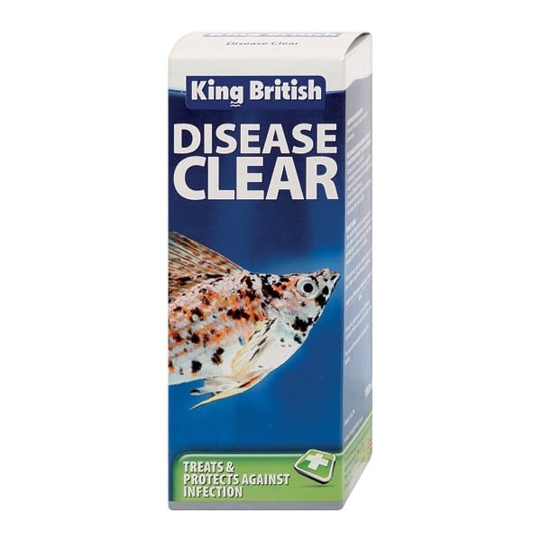 King British Disease Clear