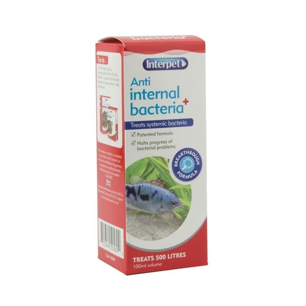 Interpet Anti Internal Bacteria Treatment