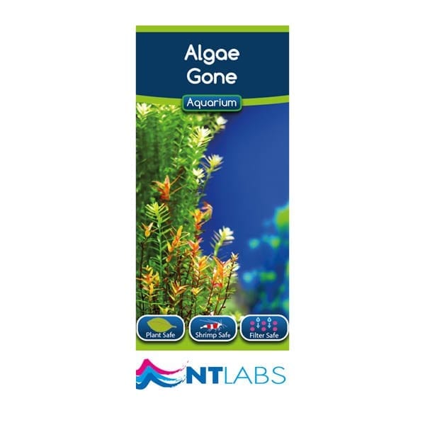 NT Labs Aquarium - Algae Gone