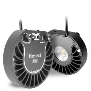 Kessil A80 Tuna Blue with Free Gooseneck