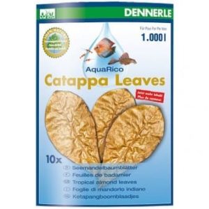 Catappa Leaves - Large