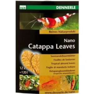 Catappa Leaves - Nano