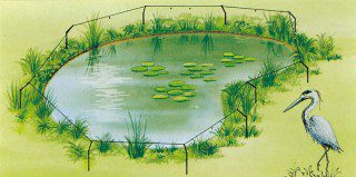 Pond protector heron deterrent
